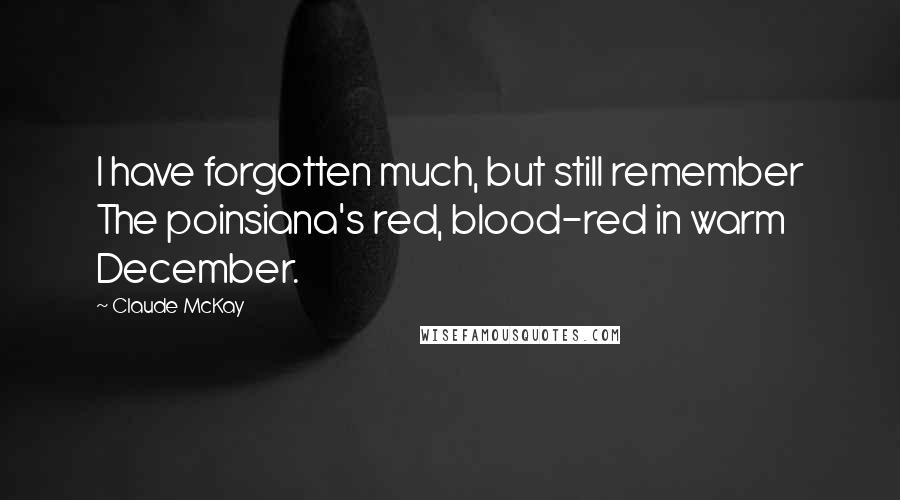 Claude McKay quotes: I have forgotten much, but still remember The poinsiana's red, blood-red in warm December.