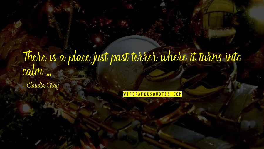 Claudia Gray Quotes By Claudia Gray: There is a place just past terror where