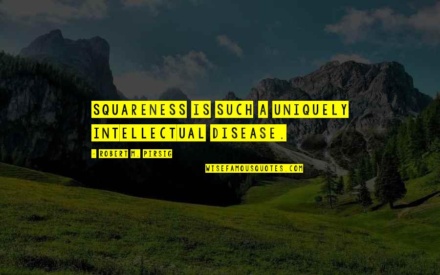 Claudine Barretto Quotes By Robert M. Pirsig: Squareness is such a uniquely intellectual disease.