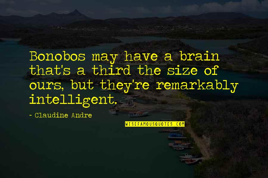 Claudine Quotes By Claudine Andre: Bonobos may have a brain that's a third Claudine Quotes By Claudine Andre: Bonobos may have a brain that's a third