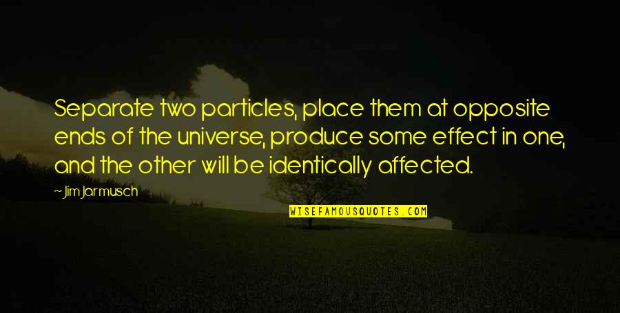 Claudio And Benedick Quotes By Jim Jarmusch: Separate two particles, place them at opposite ends