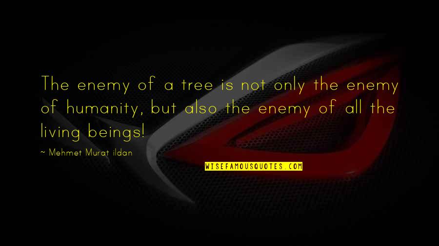 Claverie Optique Quotes By Mehmet Murat Ildan: The enemy of a tree is not only Claverie Optique Quotes By Mehmet Murat Ildan: The enemy of a tree is not only
