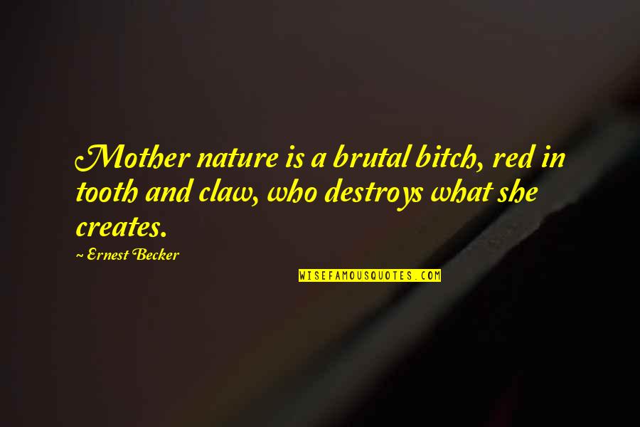 Claw Quotes By Ernest Becker: Mother nature is a brutal bitch, red in
