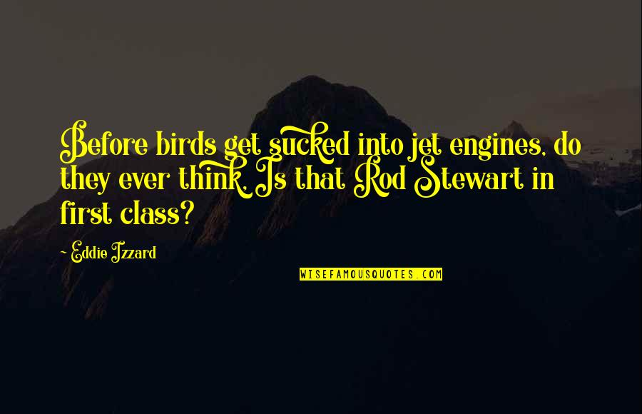 Clawback Provision Quotes By Eddie Izzard: Before birds get sucked into jet engines, do