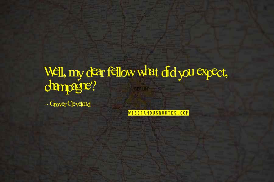 Clawhammer Guitar Quotes By Grover Cleveland: Well, my dear fellow what did you expect, Clawhammer Guitar Quotes By Grover Cleveland: Well, my dear fellow what did you expect,