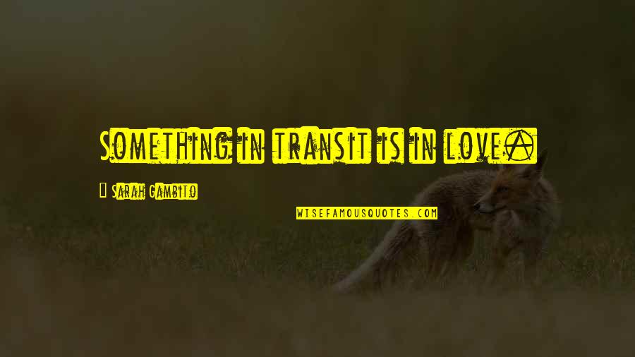 Claymation Quotes By Sarah Gambito: Something in transit is in love.