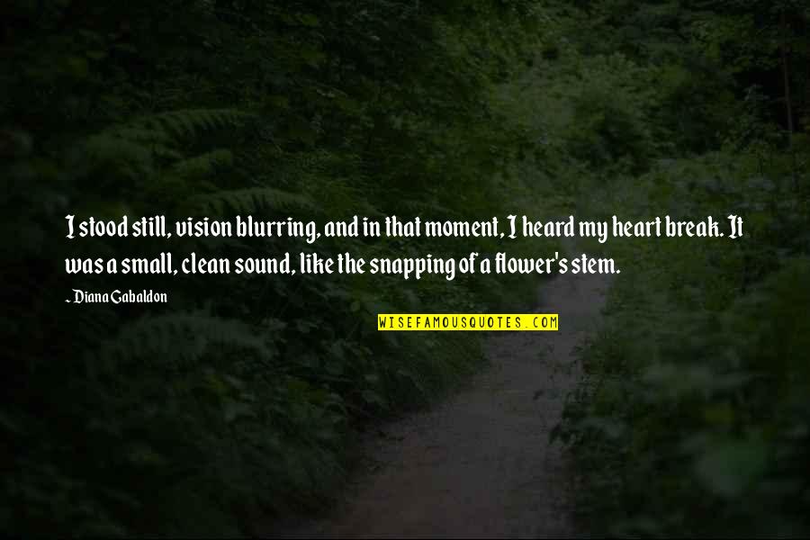 Clean Heart Quotes By Diana Gabaldon: I stood still, vision blurring, and in that