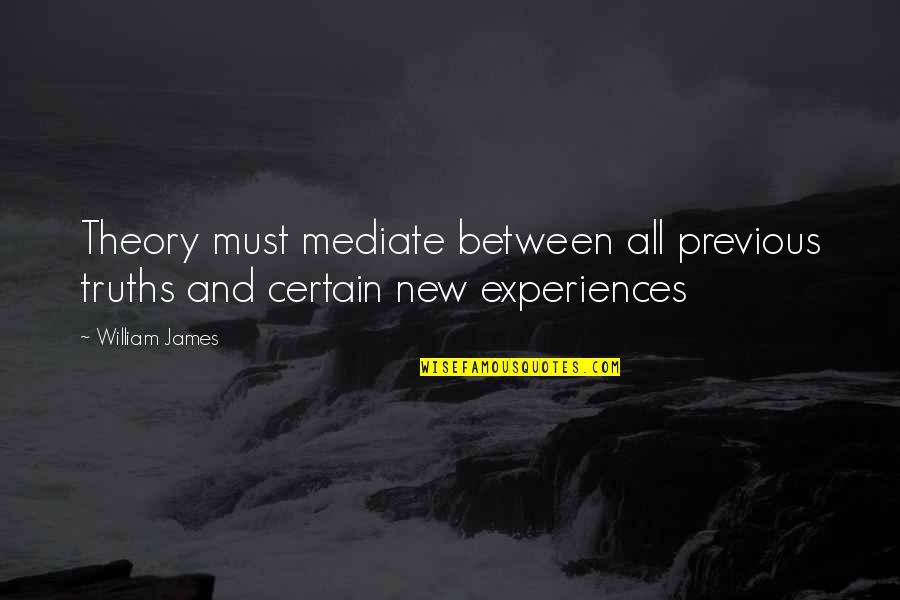 Clean Hearted Quotes By William James: Theory must mediate between all previous truths and