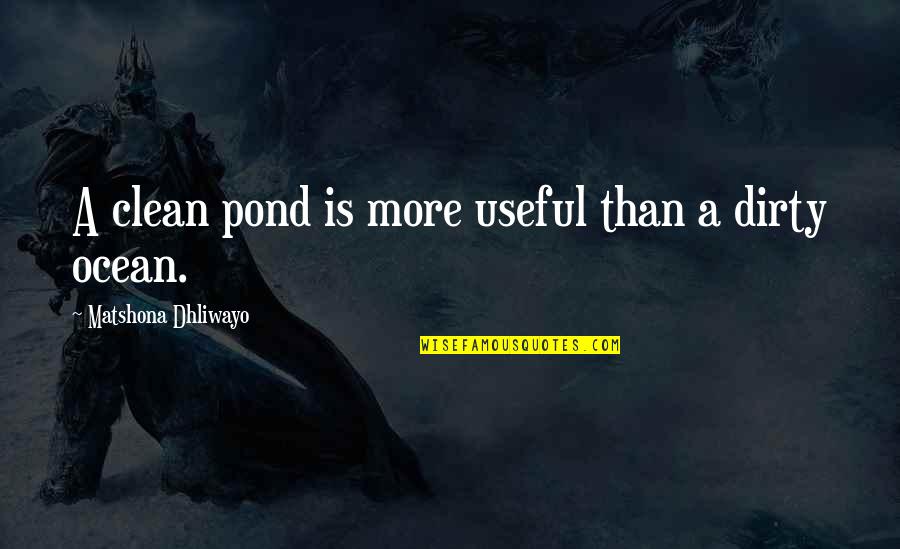 Clean Quotes And Quotes By Matshona Dhliwayo: A clean pond is more useful than a