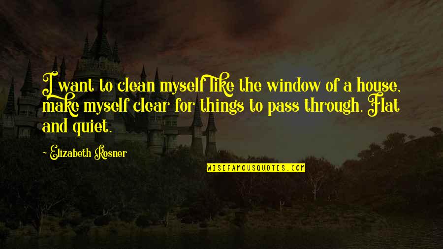 Clean The House Quotes By Elizabeth Rosner: I want to clean myself like the window Clean The House Quotes By Elizabeth Rosner: I want to clean myself like the window