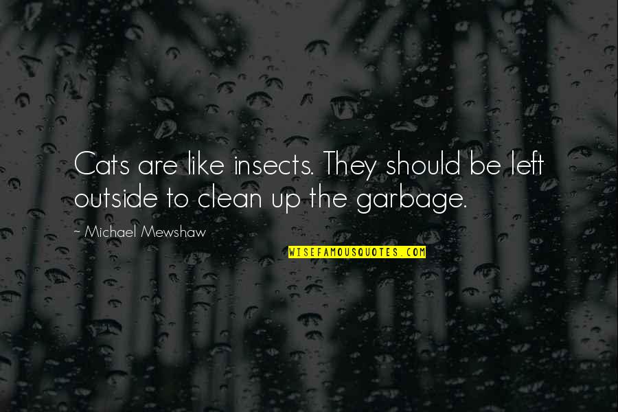 Clean Up Quotes By Michael Mewshaw: Cats are like insects. They should be left