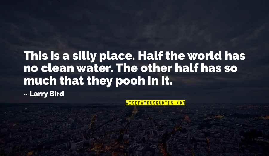 Clean Water Quotes By Larry Bird: This is a silly place. Half the world