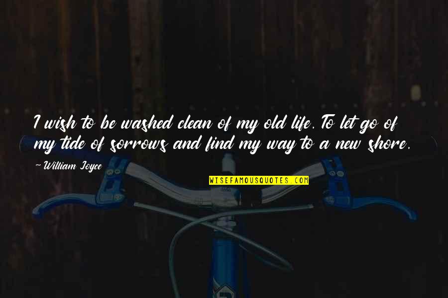 Clean Your Life Quotes By William Joyce: I wish to be washed clean of my Clean Your Life Quotes By William Joyce: I wish to be washed clean of my