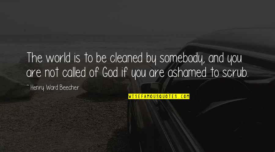 Cleaned Up Quotes By Henry Ward Beecher: The world is to be cleaned by somebody,