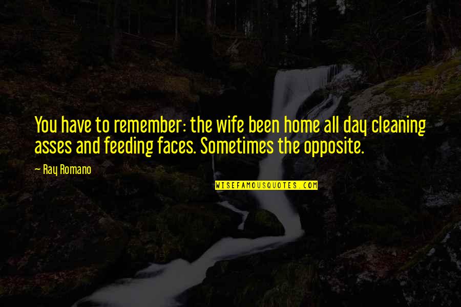 Cleaning Day Quotes By Ray Romano: You have to remember: the wife been home