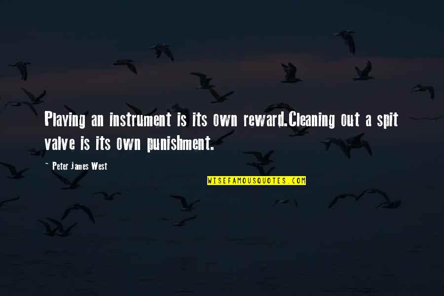Cleaning Quotes By Peter James West: Playing an instrument is its own reward.Cleaning out