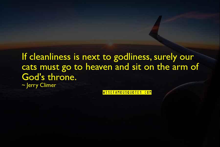 Cleanliness Is Godliness Quotes By Jerry Climer: If cleanliness is next to godliness, surely our