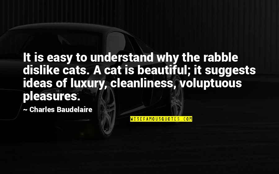 Cleanliness Quotes By Charles Baudelaire: It is easy to understand why the rabble