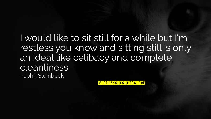 Cleanliness Quotes By John Steinbeck: I would like to sit still for a