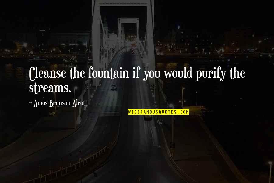 Cleanse Quotes By Amos Bronson Alcott: Cleanse the fountain if you would purify the Cleanse Quotes By Amos Bronson Alcott: Cleanse the fountain if you would purify the