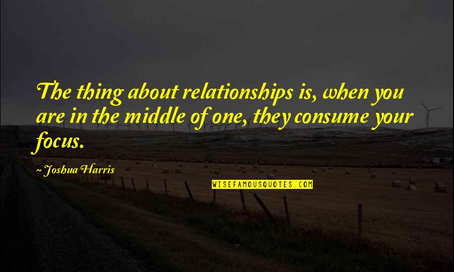 Cleansing Tears Quotes By Joshua Harris: The thing about relationships is, when you are