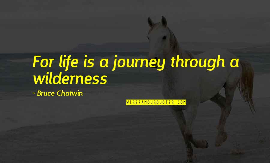 Clear Consciousness Quotes By Bruce Chatwin: For life is a journey through a wilderness