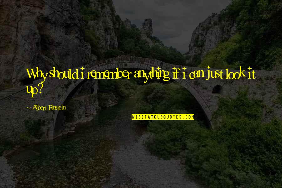 Clear Cutting Quotes By Albert Einstein: Why should i remember anything if i can