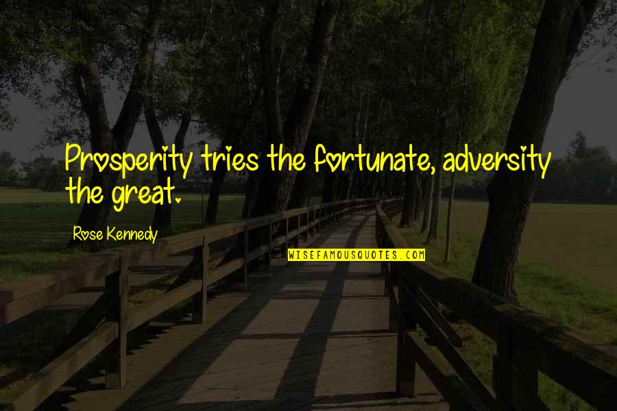 Clearheaded Perk Quotes By Rose Kennedy: Prosperity tries the fortunate, adversity the great.