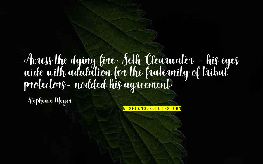 Clearwater Quotes By Stephenie Meyer: Across the dying fire, Seth Clearwater - his