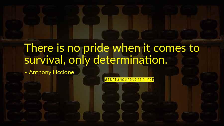 Clementine Johnson Quotes By Anthony Liccione: There is no pride when it comes to Clementine Johnson Quotes By Anthony Liccione: There is no pride when it comes to