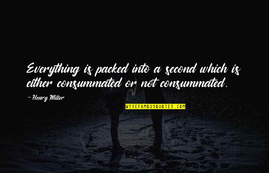 Clemmys Quotes By Henry Miller: Everything is packed into a second which is