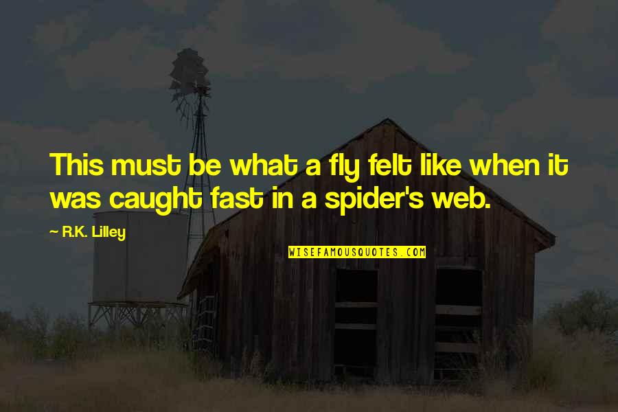 Clenliness Quotes By R.K. Lilley: This must be what a fly felt like