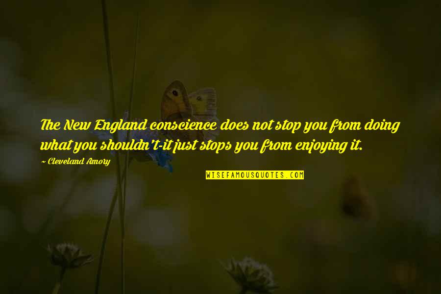 Cleveland Amory Quotes By Cleveland Amory: The New England conscience does not stop you