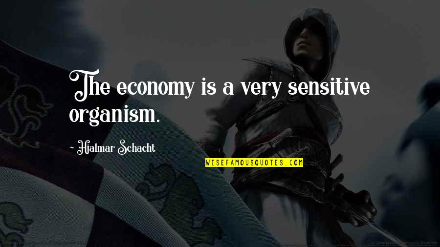 Clever Artist Quotes By Hjalmar Schacht: The economy is a very sensitive organism.