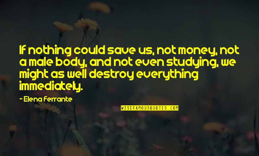 Clever But Rude Quotes By Elena Ferrante: If nothing could save us, not money, not