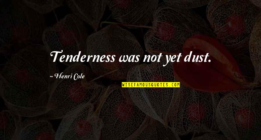 Clever Button Quotes By Henri Cole: Tenderness was not yet dust.