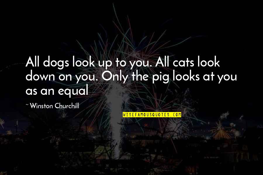 Clever Dog Quotes By Winston Churchill: All dogs look up to you. All cats