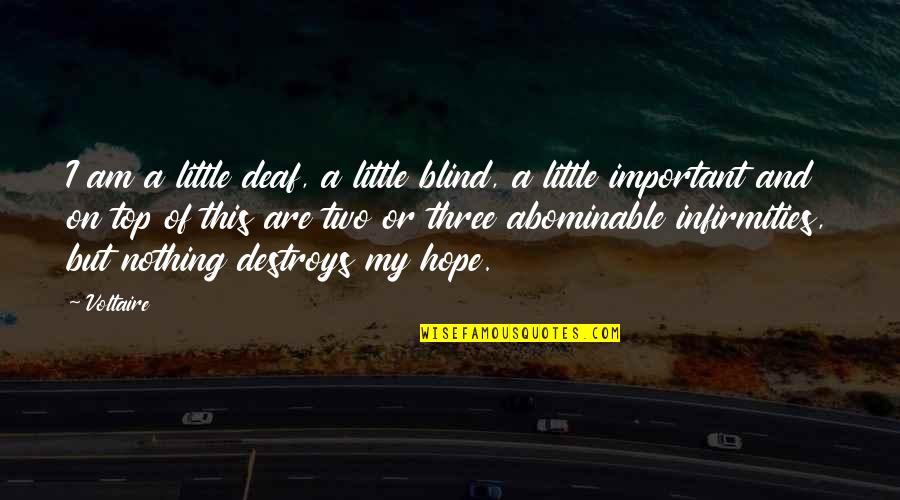 Clever Margarita Quotes By Voltaire: I am a little deaf, a little blind,