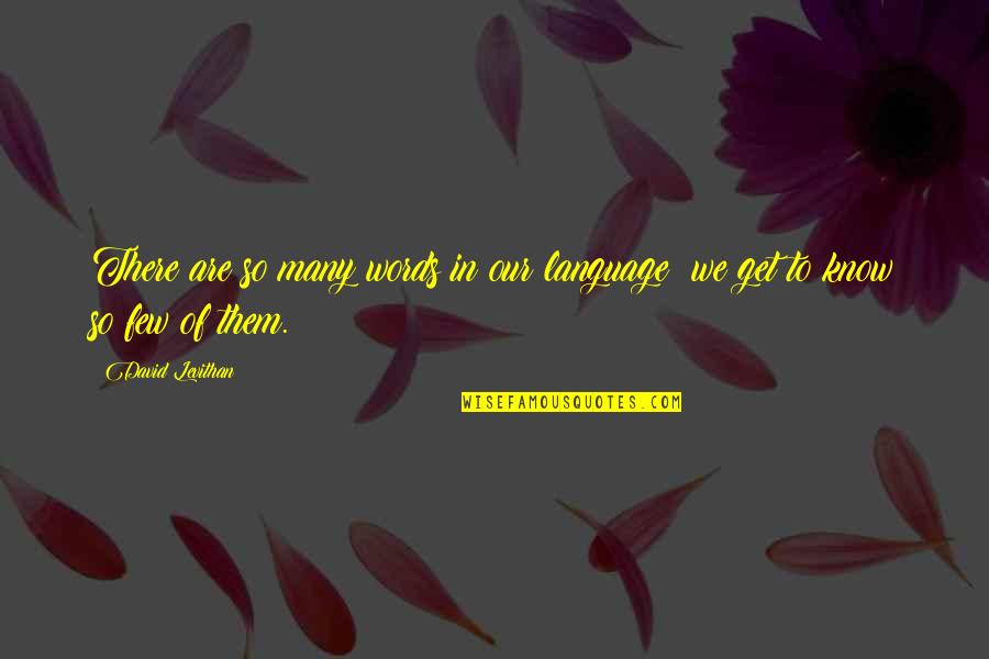 Clever Nurse Quotes By David Levithan: There are so many words in our language;