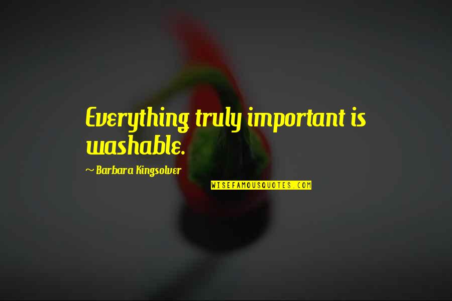 Clever Skydiving Quotes By Barbara Kingsolver: Everything truly important is washable. Clever Skydiving Quotes By Barbara Kingsolver: Everything truly important is washable.