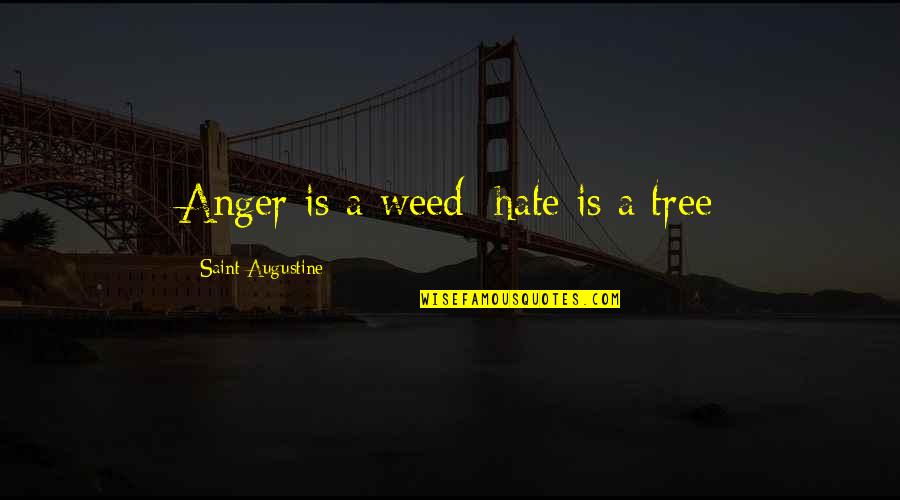 Clever Weed Quotes By Saint Augustine: Anger is a weed; hate is a tree