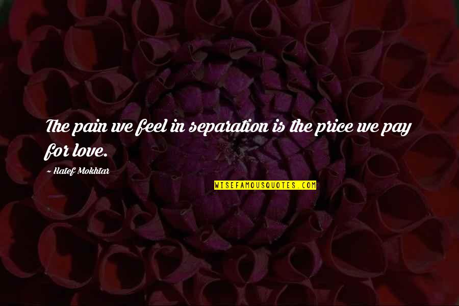 Cleverest Animal In The World Quotes By Hatef Mokhtar: The pain we feel in separation is the