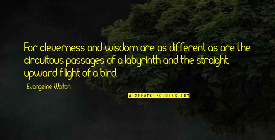 Cleverness And Wisdom Quotes By Evangeline Walton: For cleverness and wisdom are as different as