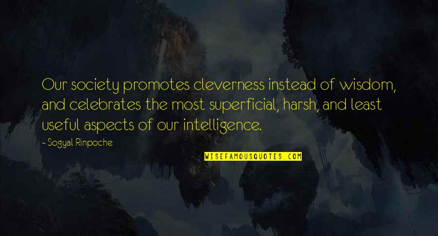 Cleverness And Wisdom Quotes By Sogyal Rinpoche: Our society promotes cleverness instead of wisdom, and