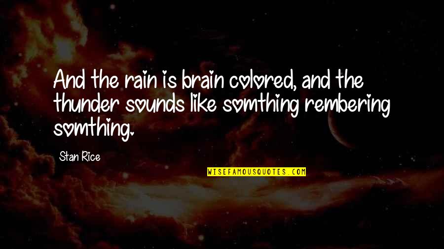Clichs Quotes By Stan Rice: And the rain is brain colored, and the