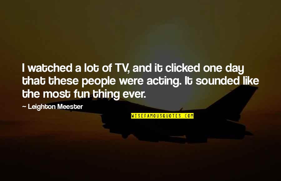 Clicked In Quotes By Leighton Meester: I watched a lot of TV, and it