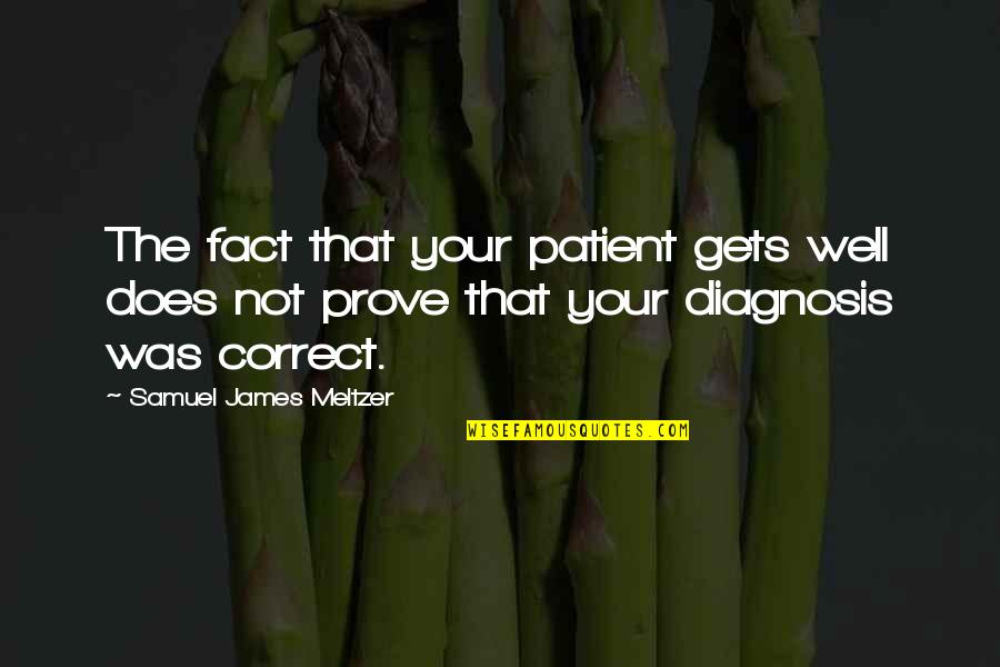 Clicky Groups Quotes By Samuel James Meltzer: The fact that your patient gets well does