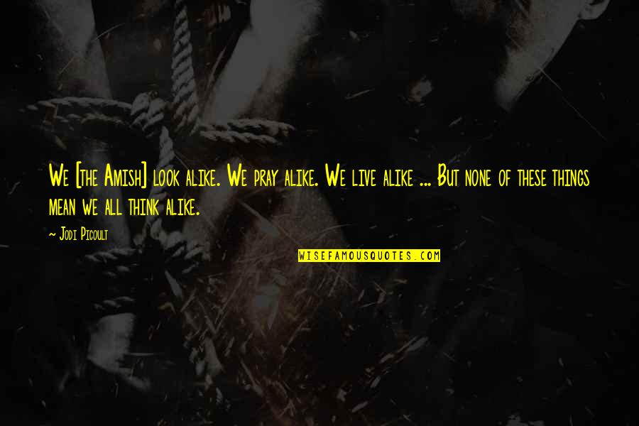 Clifford Nass Quotes By Jodi Picoult: We [the Amish] look alike. We pray alike.