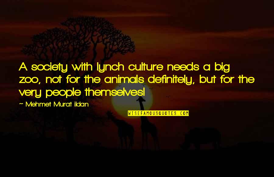Climacteric Synonym Quotes By Mehmet Murat Ildan: A society with lynch culture needs a big
