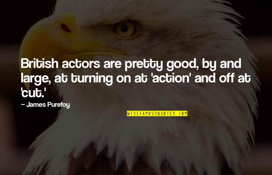 Climate Action Quotes By James Purefoy: British actors are pretty good, by and large,